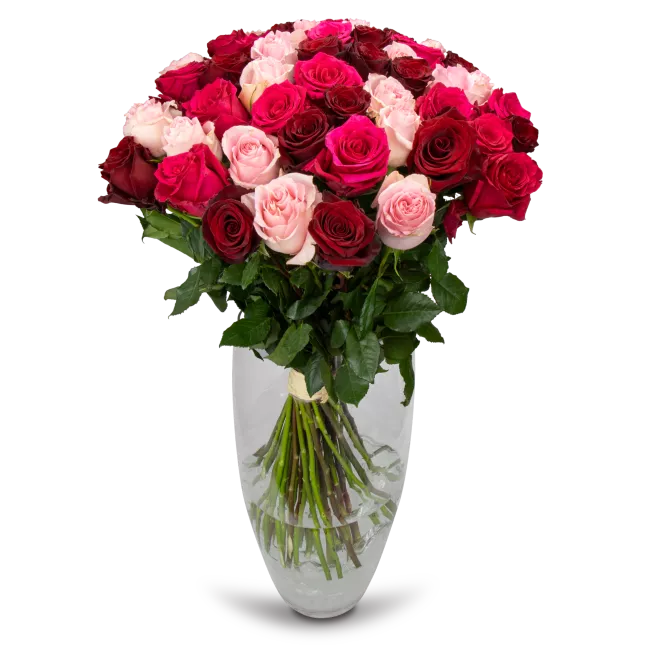 kytice ekvádorských růží 80 cm